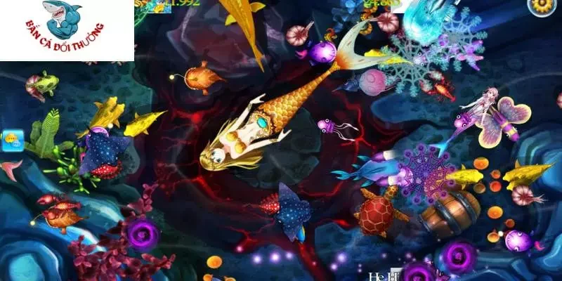 Giới thiệu sơ qua về lựa chọn vũ khí bắn cá to