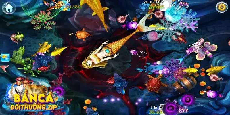 Tìm hiểu về nhà cái bắn cá BetWinner